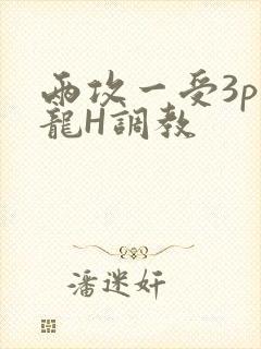 两攻一受3p双龙H调教