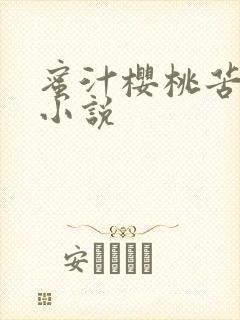 蜜汁樱桃苦咖啡小说