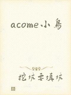 acome小鸟