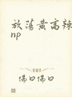 放荡黄高辣h文np