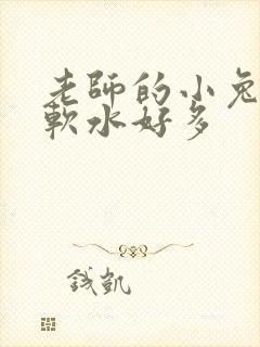 老师的小兔子好软水好多