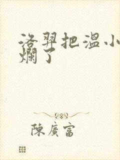 洛羿把温小辉做烂了