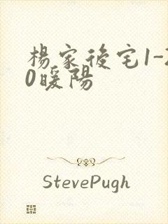 杨家后宅1-20暖阳