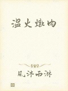 温火炖肉