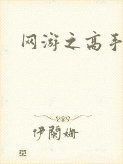 网游之高手寂寞