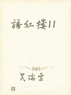 诱红楼11
