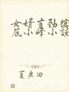 女婿有劲枪枪到底小峰小说