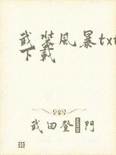 武装风暴txt下载
