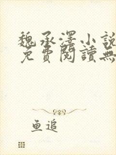 魏承泽小说全文免费阅读无弹窗笔趣