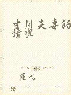 才川夫妻的恋爱情况