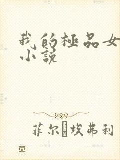 我的极品女老师小说