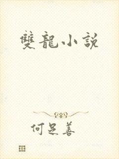 双龙小说