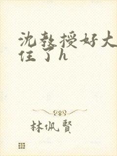 沈教授好大含不住了h