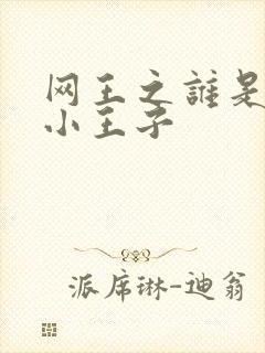 网王之谁是我的小王子