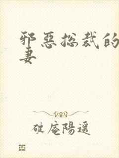 邪恶总裁的娇宠妻