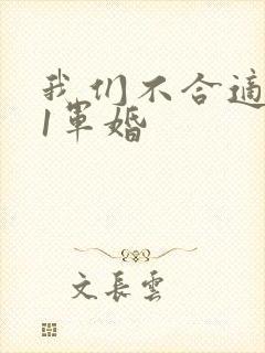 我们不合适1v1军婚