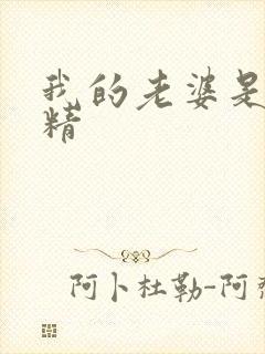 我的老婆是狐狸精