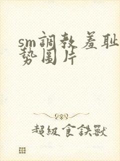 sm调教羞耻姿势图片