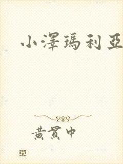 小泽玛利亚作品