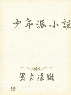 少年派小说
