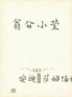 翁公小莹