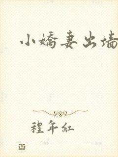 小娇妻出墙记
