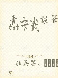 青山小说笔趣阁txt下载