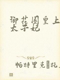 御花园皇上撞着太子妃