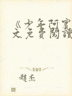 《少年阿宾》全文免费阅读