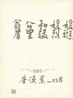 翁公和媛媛在厨房里猛烈进出