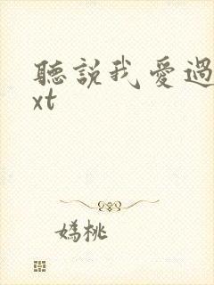 听说我爱过你txt