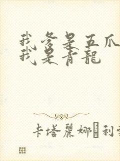 我爹是五爪金龙我是青龙