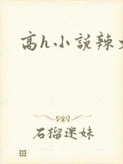 高h小说辣文