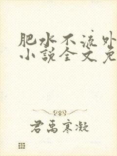 肥水不流外人田小说全文免费阅读1