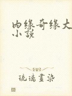 内缘奇缘大团圆小说