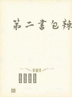 第二书包辣文