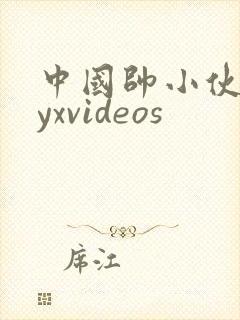 中国帅小伙gayxvideos