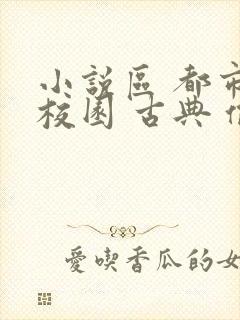 小说区 都市 校园 古典 偷拍