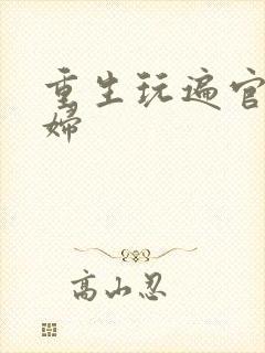 重生玩遍官场贵妇