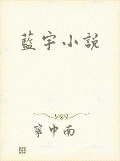 蓝宇小说
