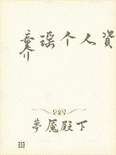 童瑶个人资料简介