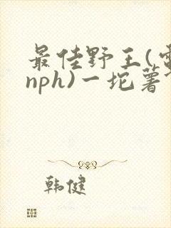 最佳野王(电竞nph)一坨薯饼
