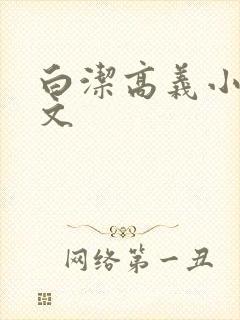 白洁高义小说全文