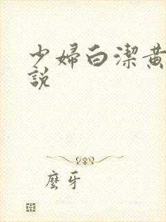 少妇白洁黄色小说