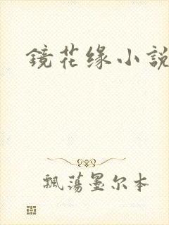 镜花缘小说