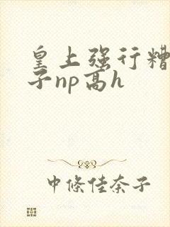 皇上强行糟蹋太子np高h