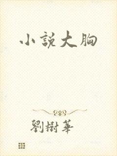 小说大胸