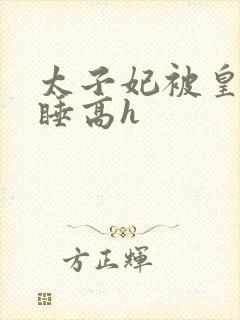 太子妃被皇上强睡高h