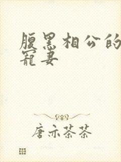 腹黑相公的庶女宠妻