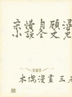 宋惜月顾浔渊的小说全文免费阅读